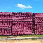 Yazoo lumber